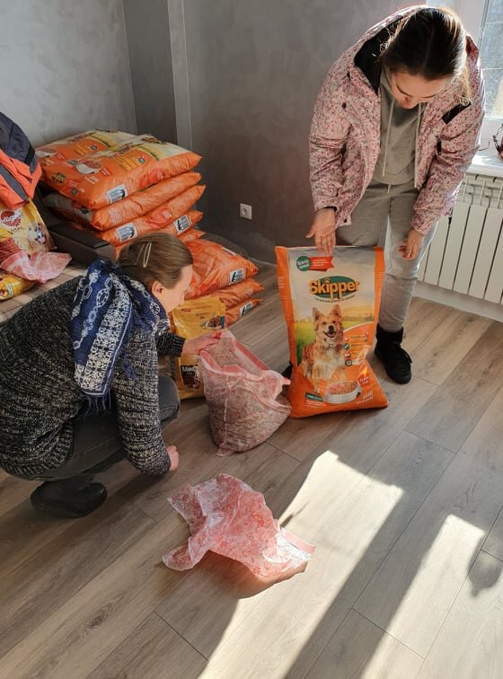 Help Ukrainian animals with our Emergency Fund.