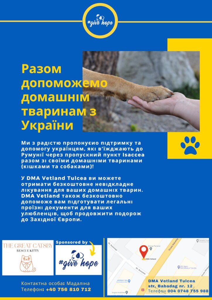 Help Ukrainian animals with our Emergency Fund.