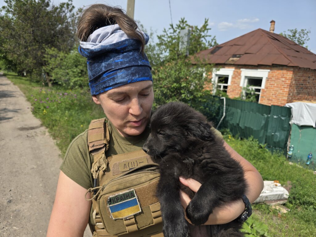 Help Ukrainian animals with our Emergency Fund.