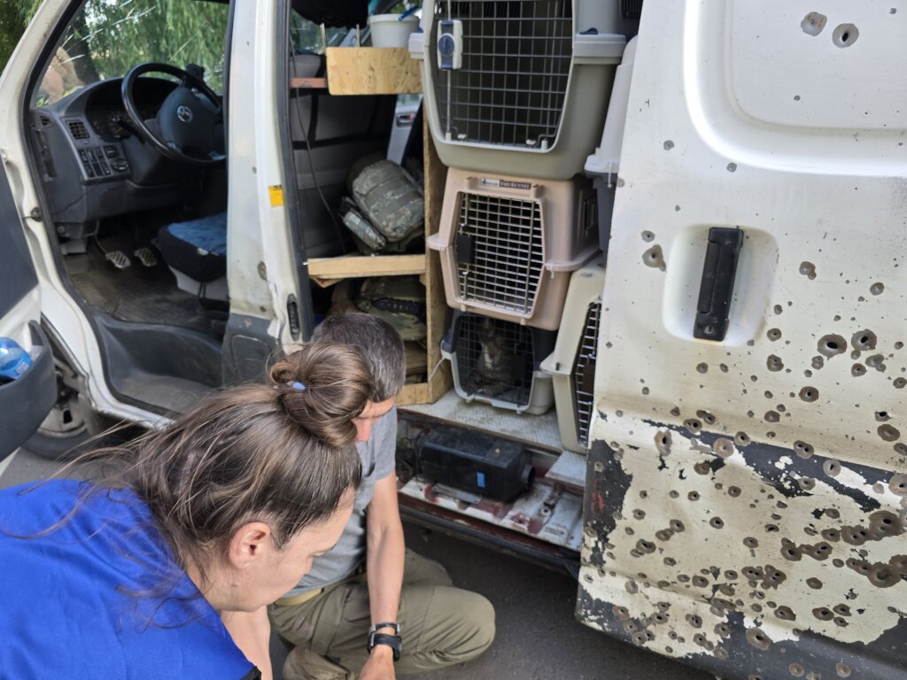 Help Ukrainian animals with our Emergency Fund.