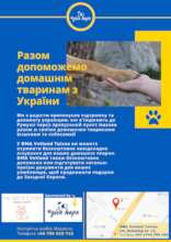 Leaflet for refugees arriving in Tulcea