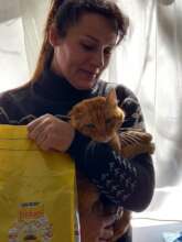 Refugee from Ukraine received help for her cat