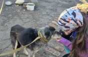Help Ukrainian animals with our Emergency Fund.