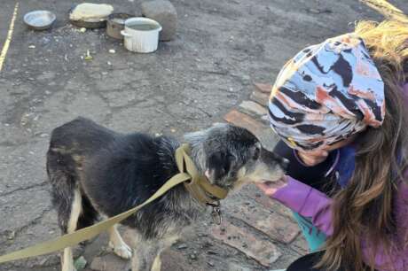 Help Ukrainian animals with our Emergency Fund.