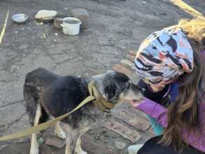 Emergency Fund: Together for Ukrainian animals