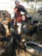 Shelter from Poltava