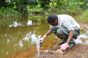Research activities in Madagascar