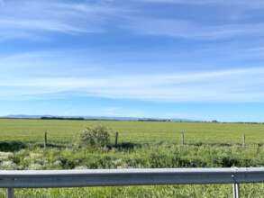 Fresh green scenery on the way to Ukraine