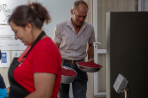 Pro-raspberry assistant, "one for you, two for me"