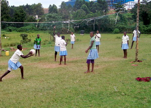 Volley Ball!