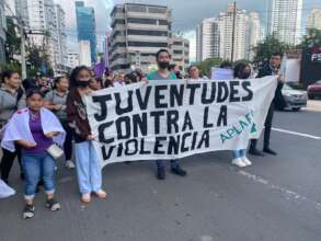March in commemoration of November 25