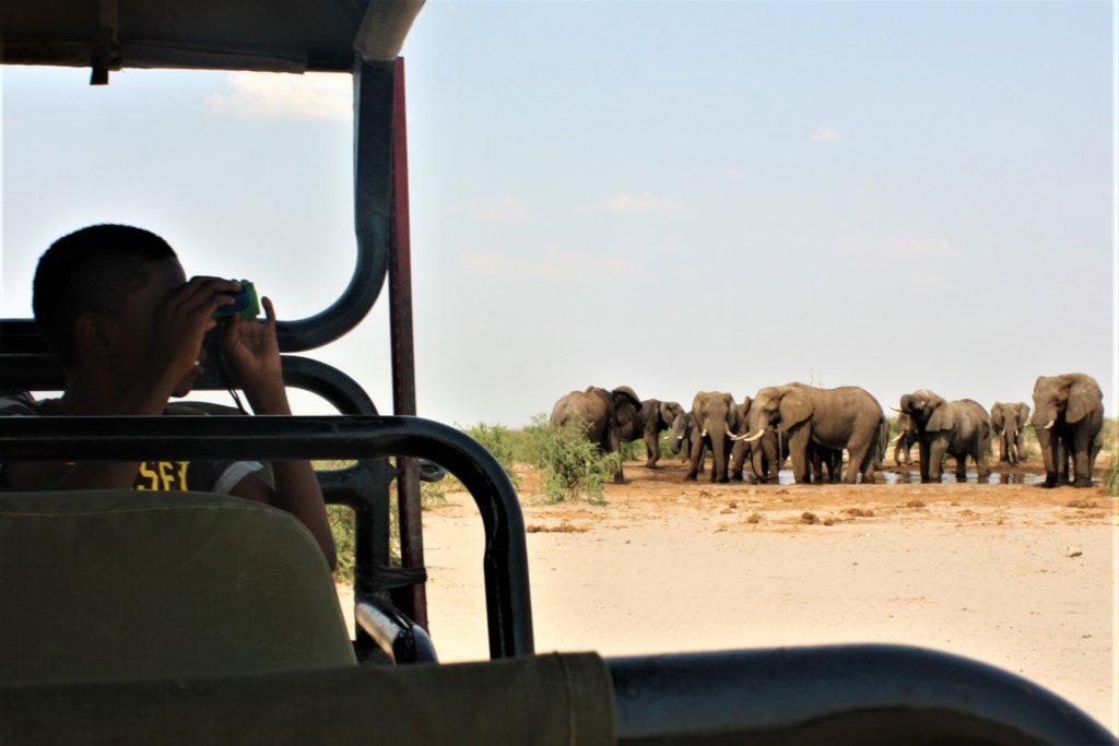 Botswana's future environmental stewards