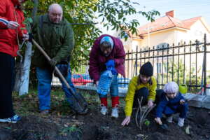 Planting the Library Yard