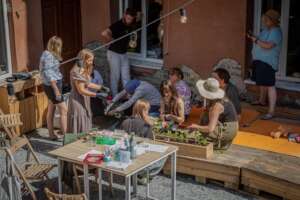 Permaculture implementation workshop