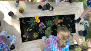 Planting One of the Garden Boxes