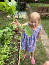 School garden harvest in Poland