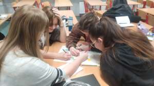 Teenagers working on ecosystem function lessons