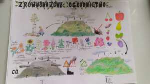 Teenager graphics on ecosystem functions