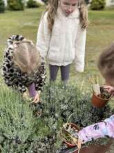 Placing Insect Habitats