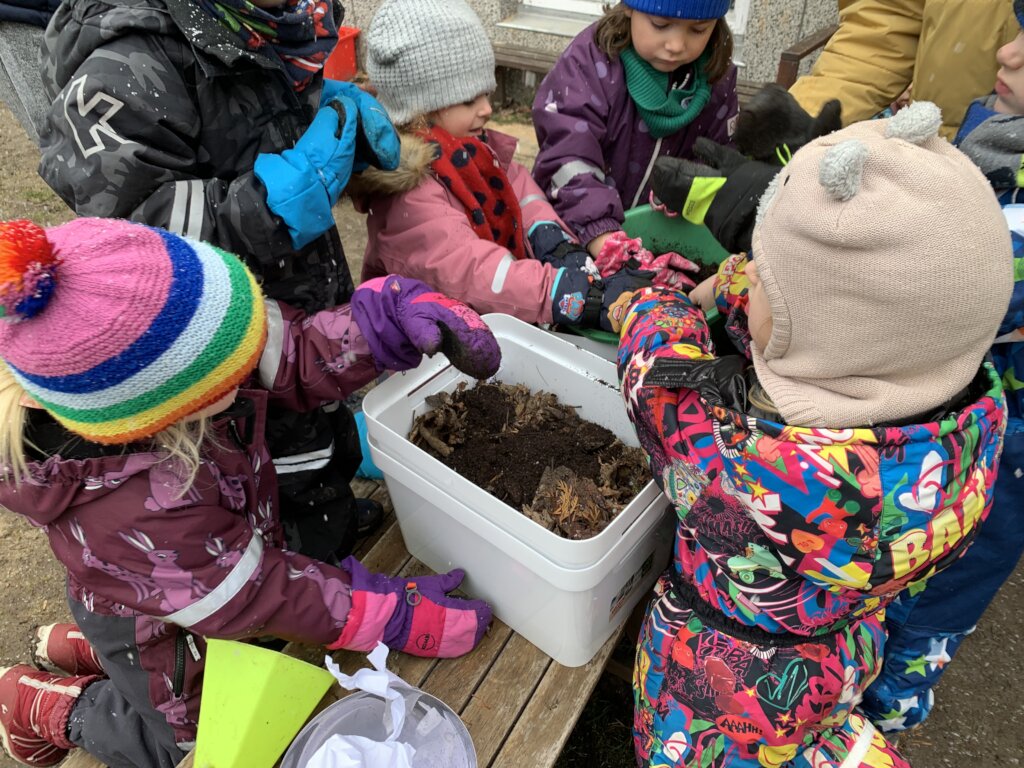 Resiliency Gardens for Ukrainian Refugees and IDPs
