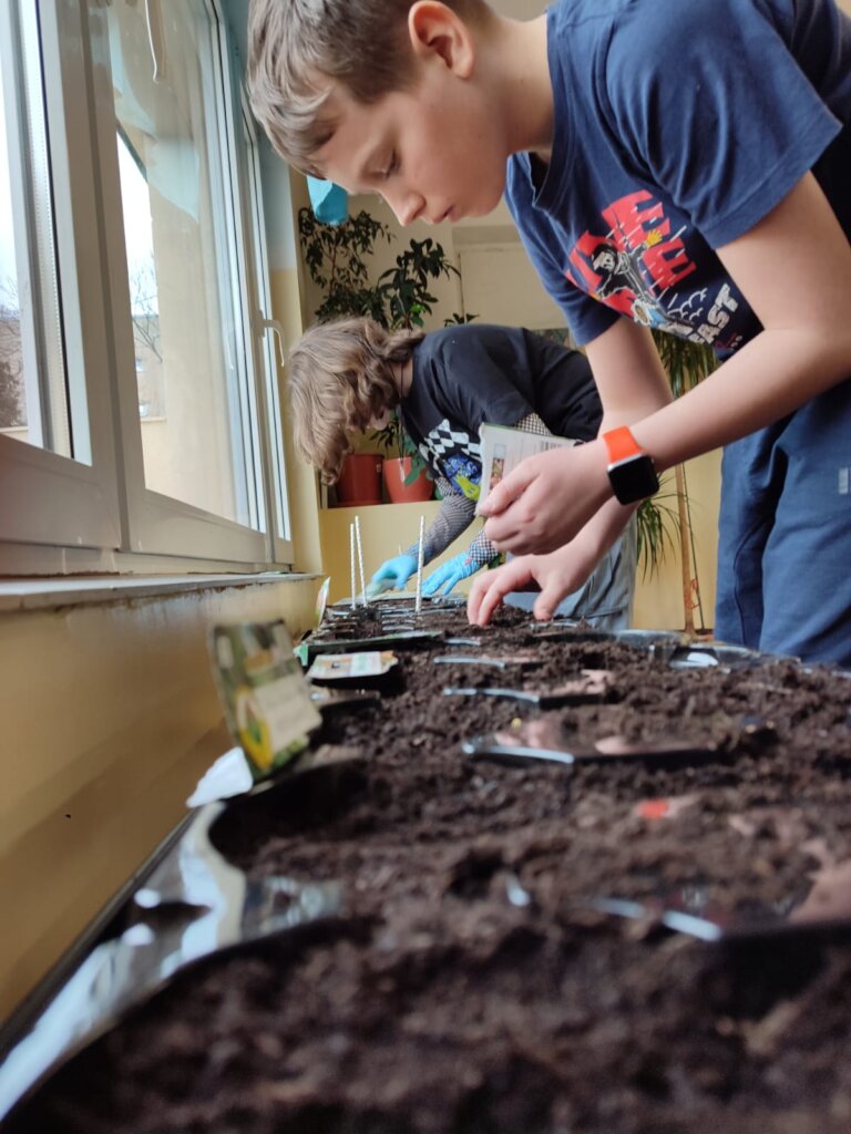 Resiliency Gardens for Ukrainian Refugees and IDPs