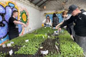 Revived greenhouse in Zhytomyr