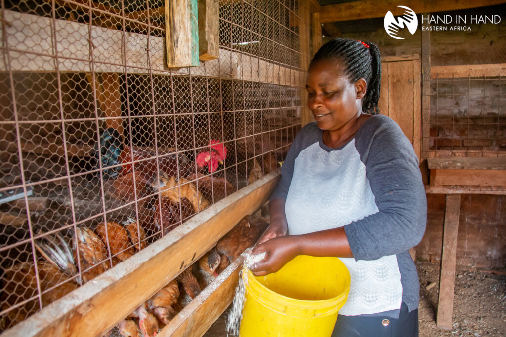 Empower 220 women in Kenya with $20 for 2 chicken.