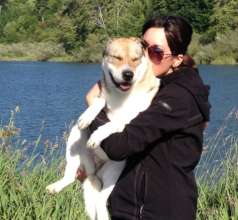 Leelu - reunited with owner after being hit by car