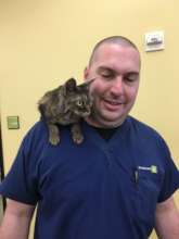 This stray cat made fast friends with our staff