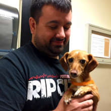 Stray Dachshune reunited with her family