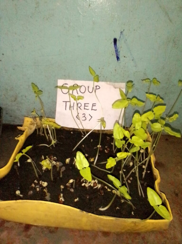 AGRICULTURE PRACTICAL