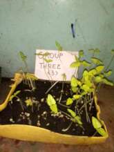 AGRICULTURE PRACTICAL