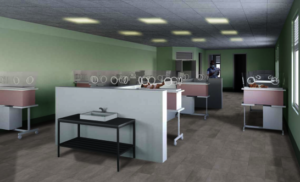 Proposed new Neonatal Care Unit (CGI)