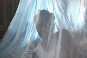 Adama under bed net