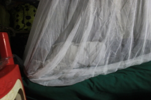 Isata laying under her bed net