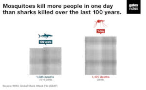 Photo from https://www.gatesnotes.com