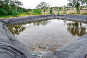 Our current liner dam that needs repair