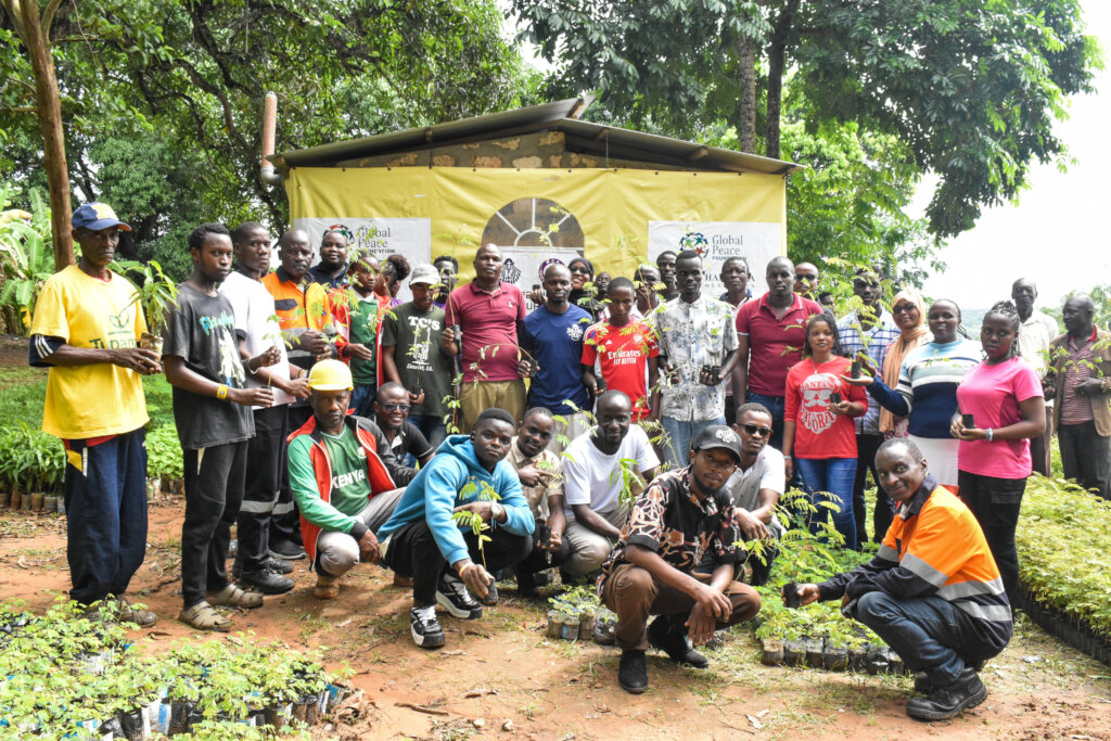 Reforestation at Chandaria Forest -Ribe