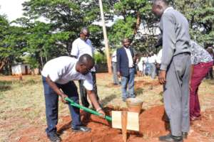 Tree planting at a local school