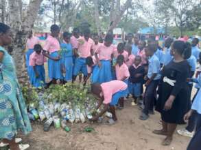 Tree Planting at Migundini Primary School