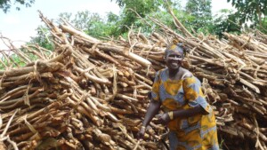 Mrs. E proudly shows off her own grown firewood