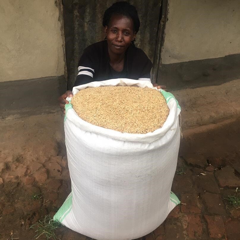 Simple Money Skills for Women in Business