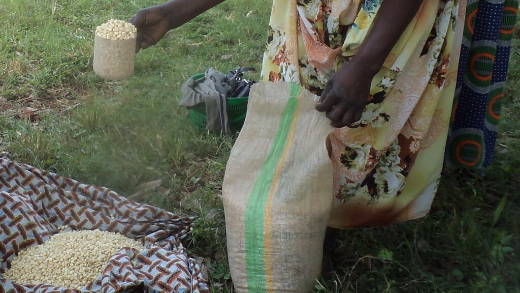 Simple Money Skills for Women in Business