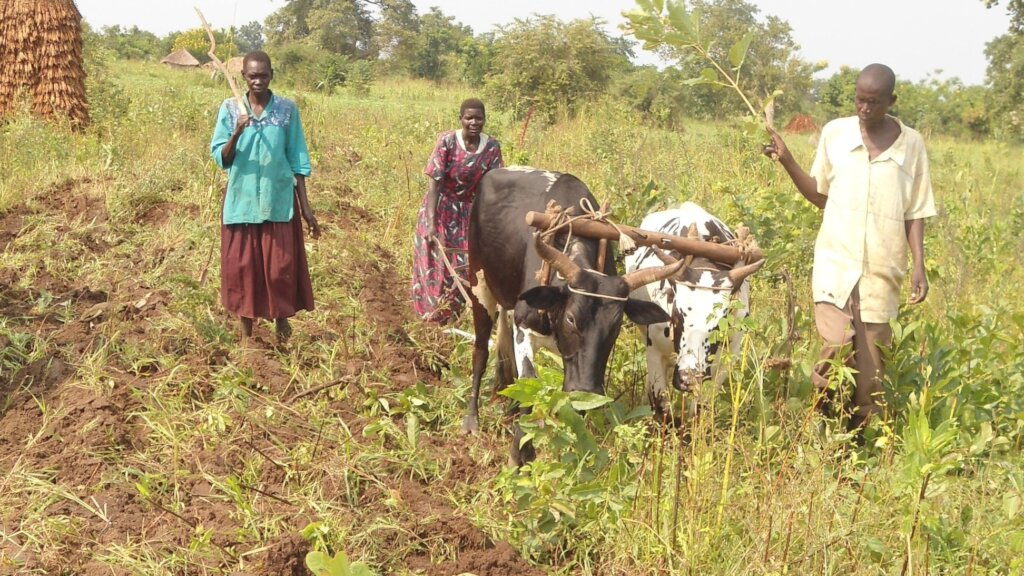 Simple Money Skills for Women in Business