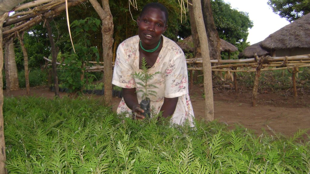 Simple Money Skills for Women in Business