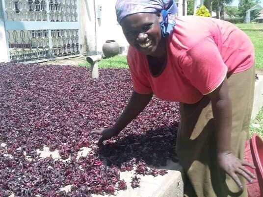 Farming as a Business - Value Addition