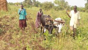 Smallholder Farmer - Opening the land