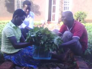 Growing and Selling Vegetables - Eboo