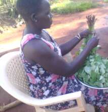 Growing and Selling Vegetables - Eboo