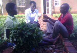 Growing and Selling Vegetables - Eboo